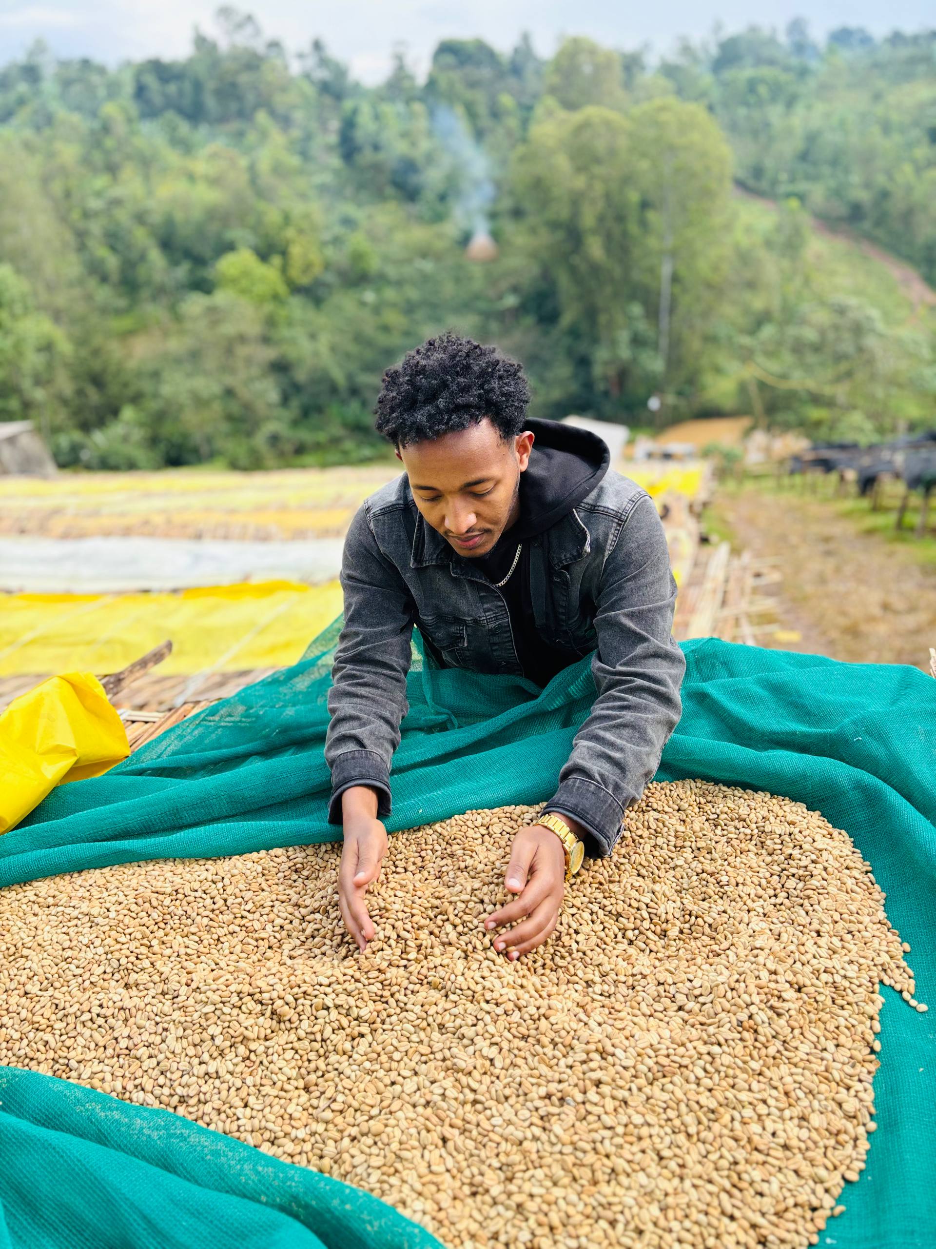 Premium Export Grade